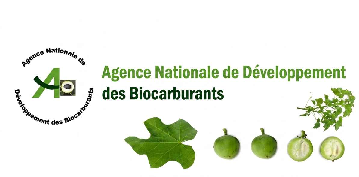 agence-national-biocarburant (1)